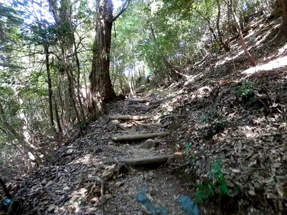 Trekking route of Kinkazan