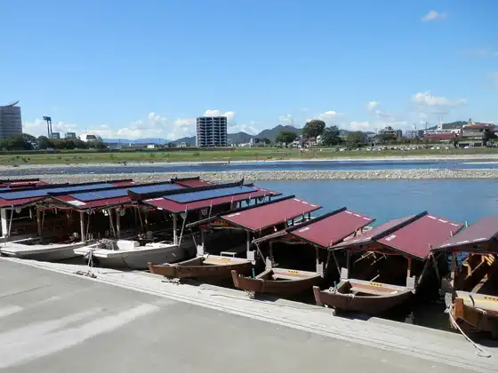 cormorant fishing boat