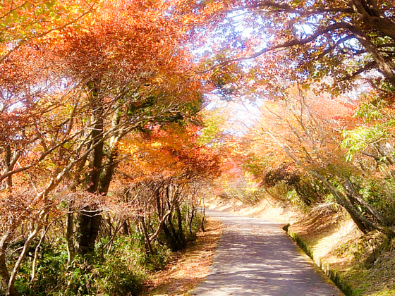 御在所山頂ロープウェイ乗り場までの道