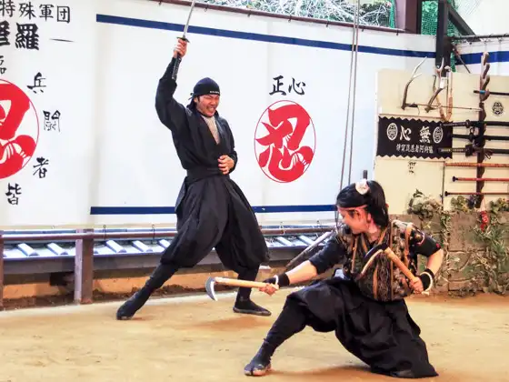 Ninja Museum