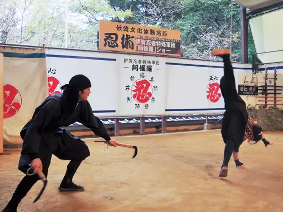 Ninja Museum