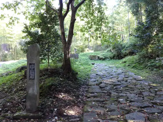 Ochiai-no Ishi-datami