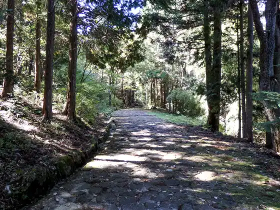 Ochiai-no Ishi-datami